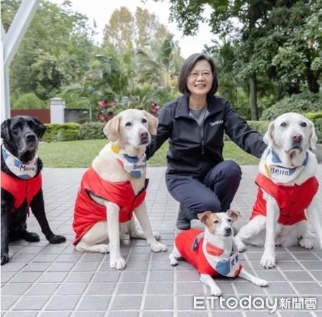 ▲▼總統蔡英文的三隻導盲犬。（圖／ETtoday資料照）