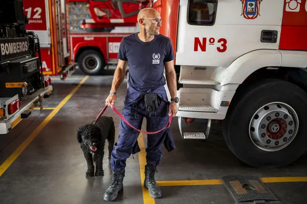 ▲▼ 在西班牙，無國界消防員組織（The United Firefighters Without Borders）9日準備出發前往摩洛哥救災，多隻救難犬同行。（圖／達志影像／美聯社）