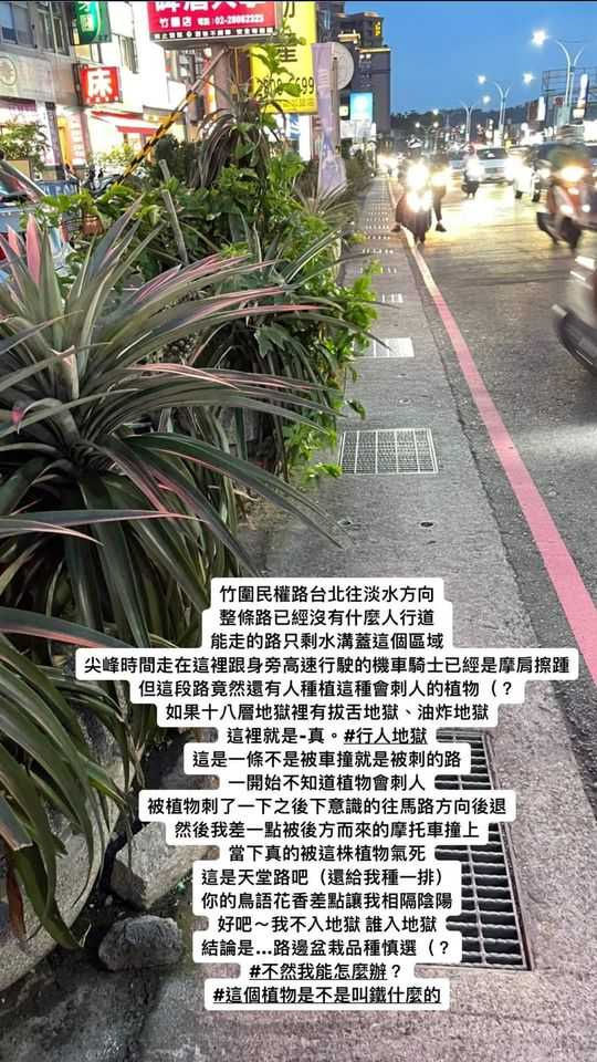 娛樂報報／大鶴台上主持台下也懂帶氣氛　凌晨酒吧嗨唱雙眼迷濛好開心