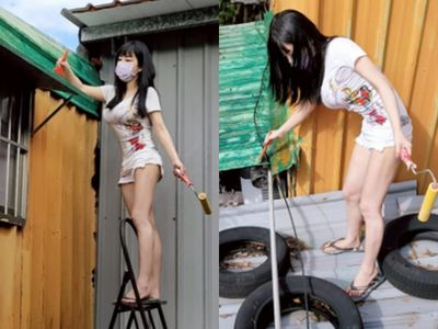 她闖民宅幫重刷油漆「救浪貓」 網看照片秒歪樓:彭小姐是對的