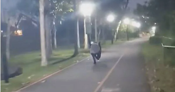 網友「Pong Posadas」於9月11日在臉書社團「SG PCN Cyclist」貼出自己在9月10日騎車時，目擊野生馬來貘的影片。（圖／臉書「SG PCN Cyclist」）
