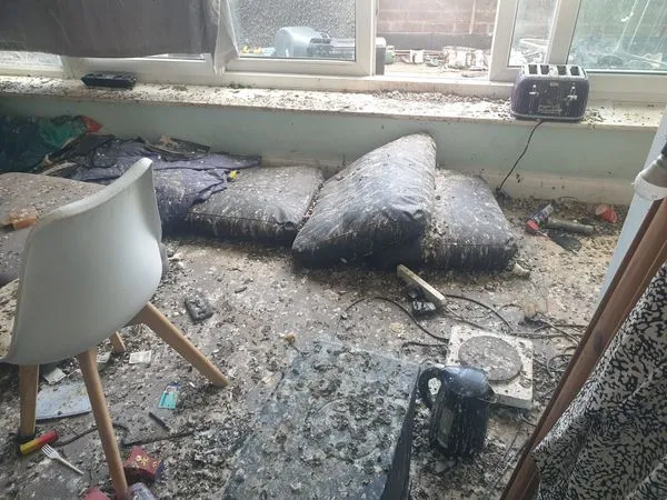 ▲▼驚悚屎襲現場！房客退租沒關窗肇禍　最衰房東慘噴60萬清理。（圖／翻攝自London Network for Pest Solutions）