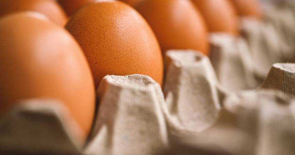 民眾不吃進口蛋有業者藉機亂漲價　蛋商氣罵：蛋價回不去了