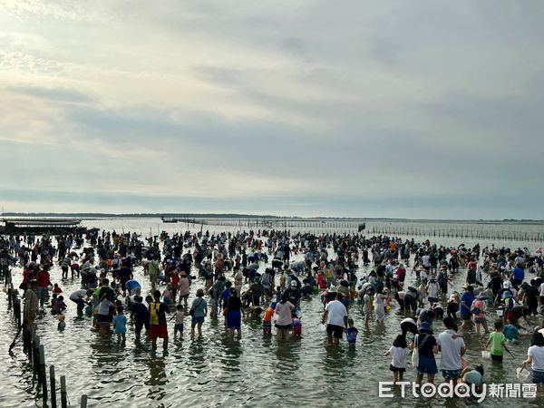 ▲「2023台南七股海鮮節-觀光赤嘴園挖文蛤體驗活動」，16日在七股六孔碼頭開幕，下午超過3000人一起在六孔碼頭潟湖挖文蛤同樂。（圖／記者林東良翻攝，下同）