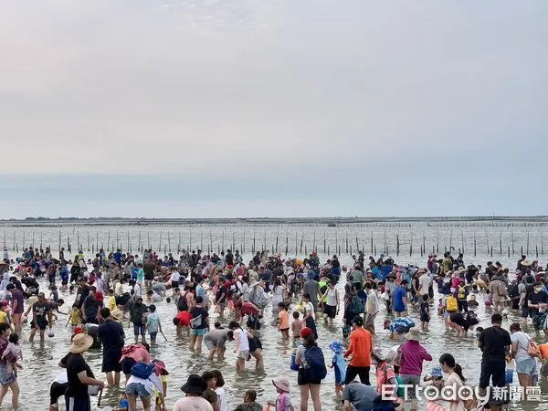 ▲「2023台南七股海鮮節-觀光赤嘴園挖文蛤體驗活動」，16日在七股六孔碼頭開幕，下午超過3000人一起在六孔碼頭潟湖挖文蛤同樂。（圖／記者林東良翻攝，下同）