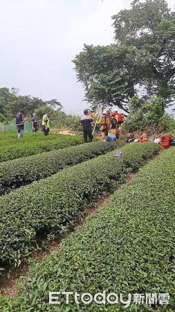 ▲逾期停留移工因貪食波羅蜜露餡，為躲避警方查緝竟跳崖受重傷，幸經警消救起無生命危險。（圖／記者高堂堯翻攝）