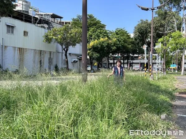 ▲國民黨第三選區立委參選人姚正玉表示，請黃偉哲市長應盡快發揮公衛專長、專心防疫，讓台南市早日脫離登革熱疫情的夢魘。（圖／記者林東良翻攝，下同）