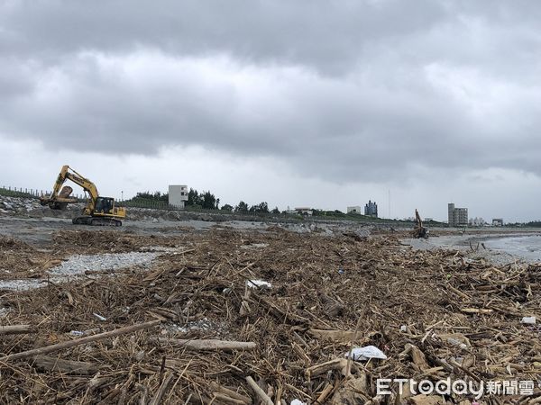 ▲▼海葵颱風過後，花蓮縣海岸堆積大量漂流木。（圖／花蓮分署提供，下同）