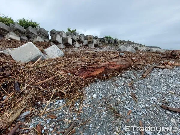 ▲▼海葵颱風過後，花蓮縣海岸堆積大量漂流木。（圖／花蓮分署提供，下同）
