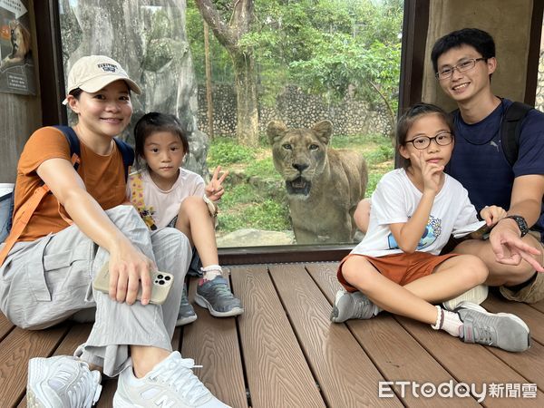 ▲壽山動物園非洲獅獲選十大動物明星。（圖／記者許宥孺翻攝）