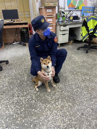 ▲▼基隆派出所警犬柴柴「Q寶」值勤背影萌翻！　1技能驚艷員警。（圖／翻攝自臉書粉專「基隆警馨雲」）