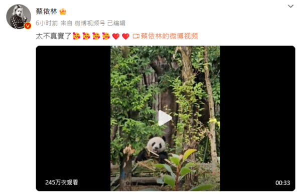 ▲▼蔡依林將大熊貓吃播影片上傳到微博。（圖／擷取自微博／蔡依林）