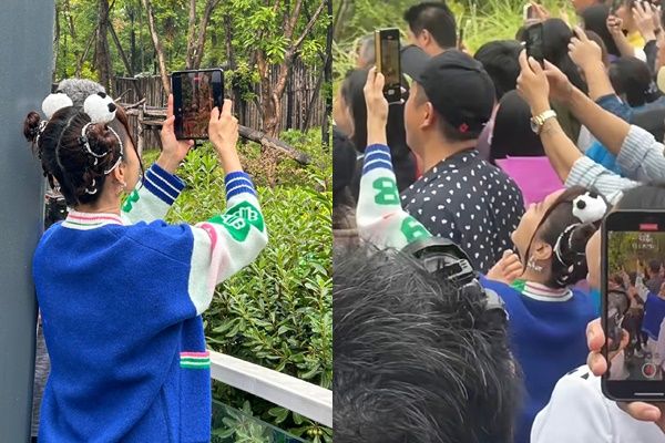 「野生」蔡依林擠人群拍熊貓　粉絲：拍你的時候也是這樣 | ETtoda