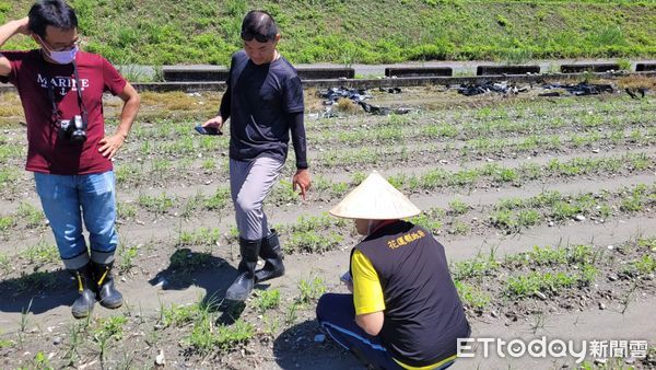 ▲▼受海葵颱風侵襲，花蓮10鄉鎮農作物受災嚴重。（圖／花蓮縣政府提供，下同）