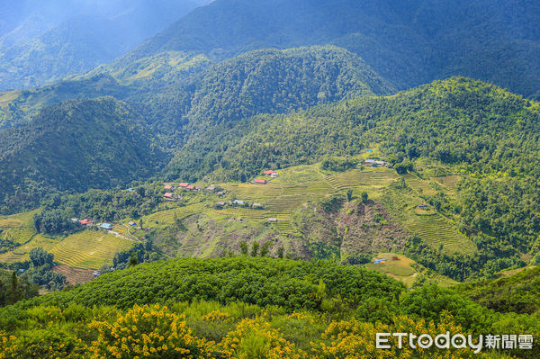 ▲▼越南沙壩梯田，SAPA。（圖／記者蔡玟君攝）