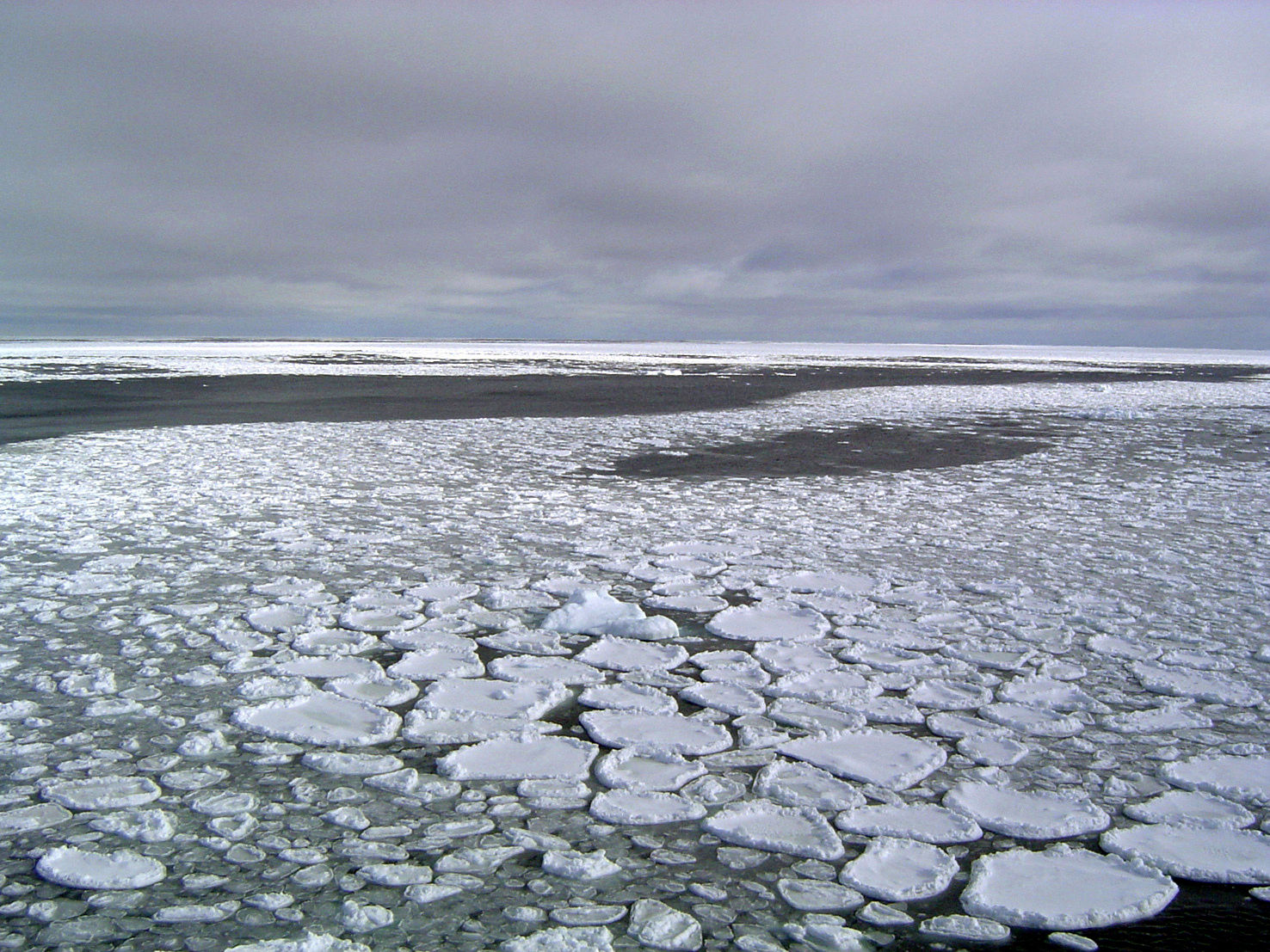 ▲南極洲海冰規模年年驟減。（圖／達志影像／美聯社）