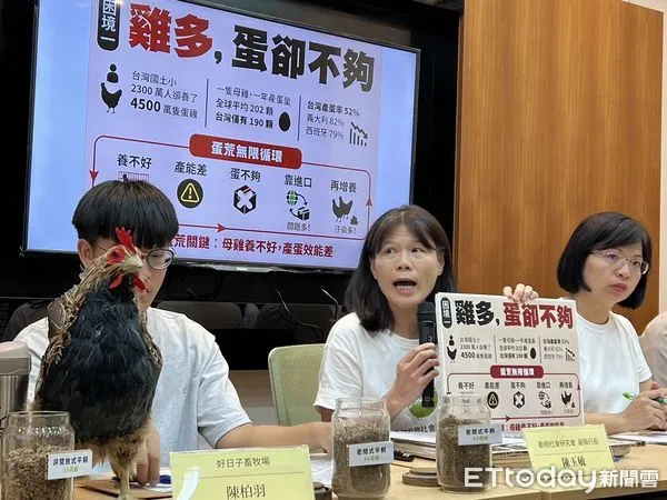 ▲台灣動物社會研究會點出台灣蛋雞產業四大困境，籲推動友善飼養。（圖／記者楊惠琪攝）
