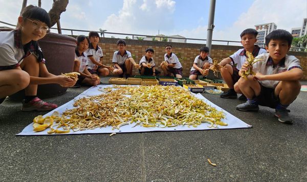 ▲和東國小師生為了浪浪，蒐集柚子皮做成蚊香片。（圖／和東國小提供）