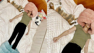 貓一直搶人的床！她買貓窩又不捧場「只好自己用了」　網樂：至少頭腳都顧到