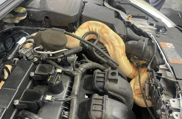 打開引擎蓋發現蠕動巨物　男從汽車拉出「2.4公尺大蟒蛇」嚇壞。（圖／翻攝自Facebook／Russell Cavender）