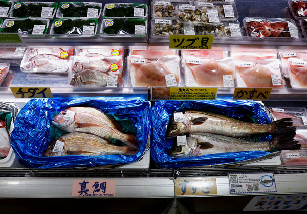 ▲▼  日本福島縣相馬市一處市場，當地捕獲的海鮮。（圖／路透）