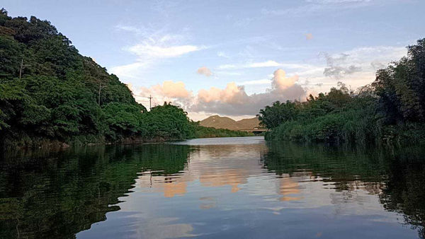 新北市貢寮區龍門里位於山海之間，各角落都是美景，傍晚的龍門吊橋更唯美宛如童話。（圖／讀者提供）