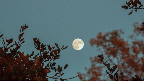 ▲▼ 中秋節,月亮,月圓,滿月。（示意圖／Pexels）