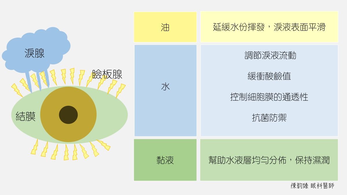 ▲▼瞼板腺功能障礙。（圖／截自陳韵臻醫師個人網站）