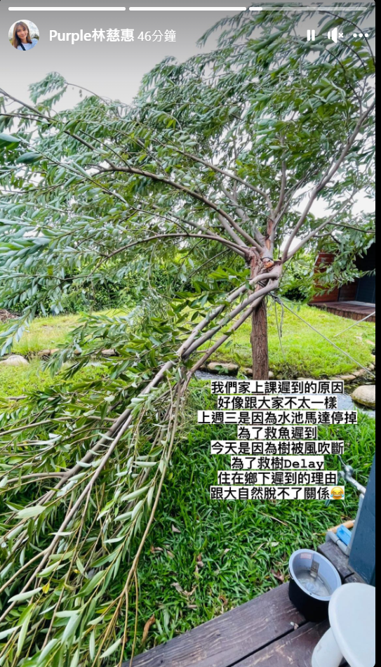 ▲蕾媽PO出家中庭院樹被吹斷的景象。（圖／翻攝自慈惠臉書）
