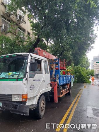 ▲台北市新東街、延壽街口4日上午發生路樹倒塌意外，掉落樹枝砸到多部機車。（圖／記者張君豪翻攝）