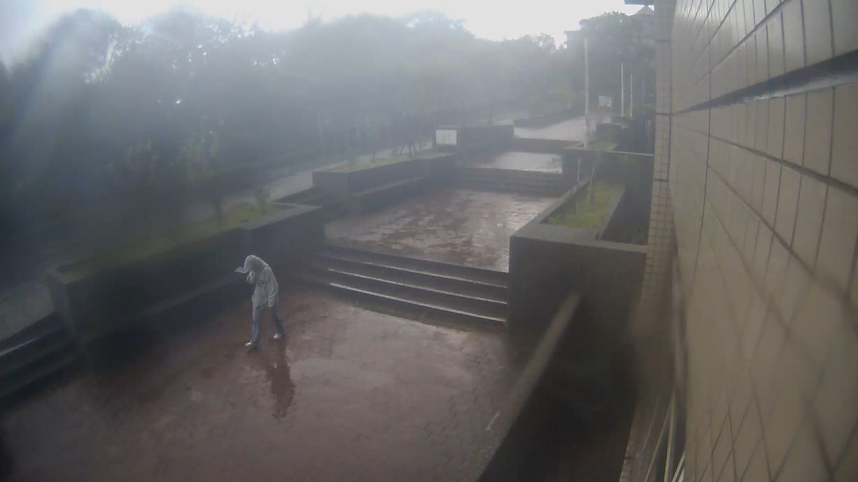 ▲▼文化大學校園今出現明顯風雨。（圖／翻攝文化大學官網校園即景）