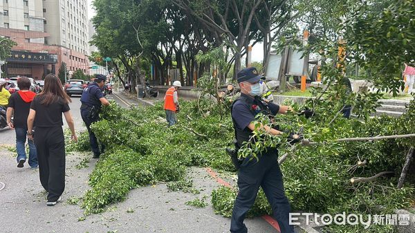 ▲▼中國附醫對前8公尺高路樹倒塌，還好當時是紅燈，沒有波及人車。（圖／記者許權毅攝，下同）