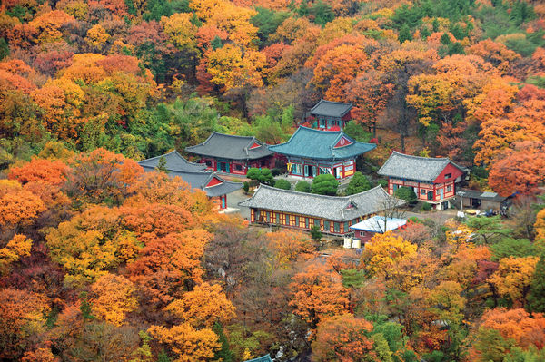 ▲▼釜山梵魚寺秋景。（圖／韓國觀光公社提供）