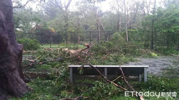 ▲墾丁國家森林遊樂區10月6日及7日休園            。（圖／林業保育署屏東分署）