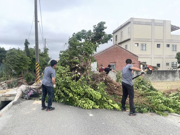 ▲埔鹽鄉災情嚴重超過30棵路樹倒塌，天聖國小火警。（圖／記者唐詠絮翻攝）