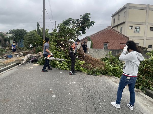 ▲埔鹽鄉災情嚴重超過30棵路樹倒塌，天聖國小火警。（圖／記者唐詠絮翻攝）