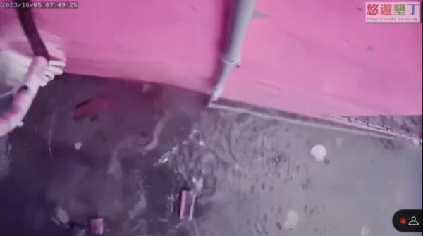 墾丁萬里桐鏡頭君不敵小犬颱風，今日上午宣告「殉職」。（翻攝自我愛墾丁旅遊票券中心YouTube）