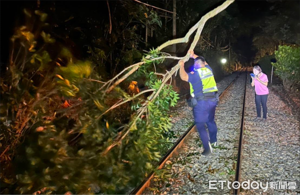 ▲路樹在小犬颱風前夕橫倒於鐵軌，集集分局勇警迅速移除、維護交通安全。（圖／記者高堂堯翻攝，下同）