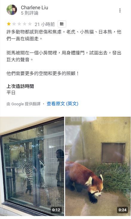 ▲遊京都動物園見「斑馬狂撞門、焦慮繞圈」　網紅淚崩：越看越悲傷。（圖／翻攝自IG／coindevanity）