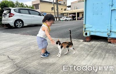 親人三花找孩子討摸「意外牽起緣分」　颱風前收編取名小犬