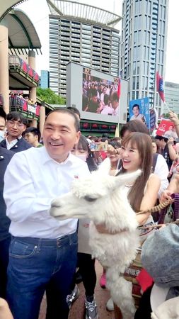 ▲▼ 王宥忻帶著一雙兒女和萌獸麥可參加新北市國慶升旗典禮。（圖／固力狗提供）