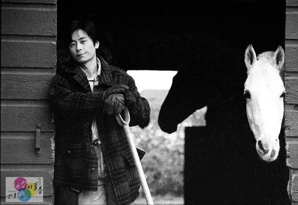 ▲▼王傑在溫哥華的自家馬房拍照             。（圖／《你的青春也是我的青春》）