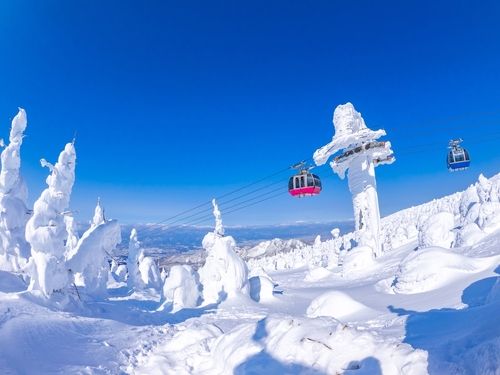 ▲▼冬季限定！日本東北賞藏王樹冰自然奇景。（圖／Shutterstock）