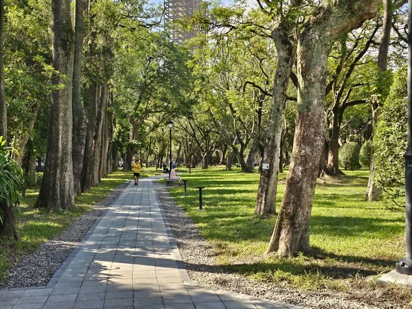 ▲▼國父紀念館景觀改造，映池倒映建築之美，中山文化園區東側步道將舉行「城市之森」藝術市集。（圖／國父紀念館提供）