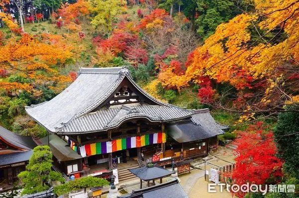 ▲日本奈良的明日香村-岡寺是著名的賞楓景點。（圖／AsiaYo提供）
