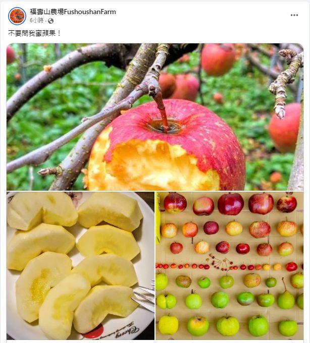 ▲▼福壽山農場指出，沒有「蜜蘋果」這種品種。（圖／翻攝自福壽山農場臉書）