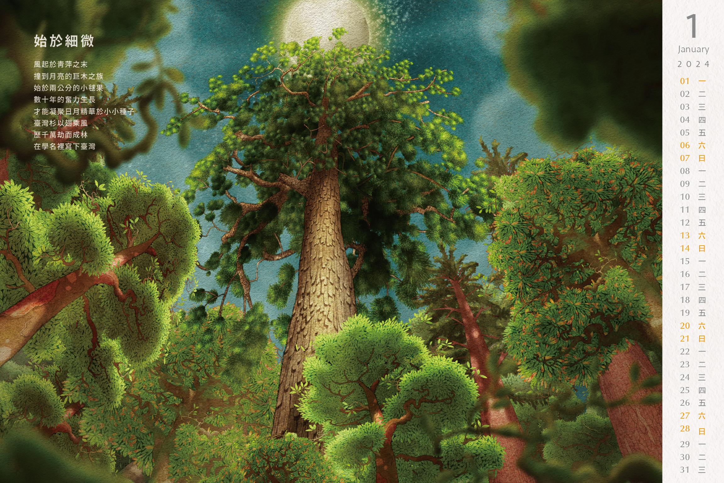 ▲林業署推出2024《奇幻之森》月曆。（圖／林業署提供）