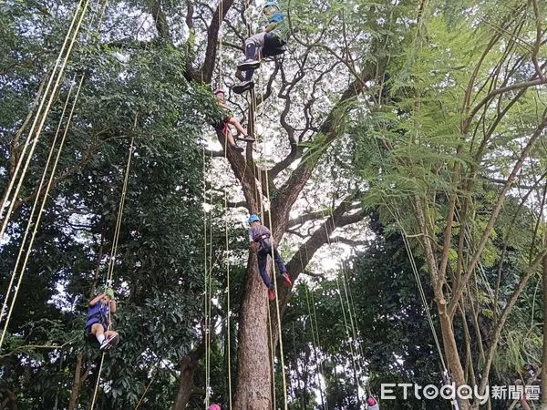 ▲▼  嘉大景觀系帶領中埔國小學子攀樹及義剪 啟動環境健康教育傳承 。（圖／中埔國小提供）