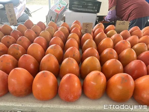 ▲▼   嘉義番路柿子節  。（圖／記者翁伊森攝）