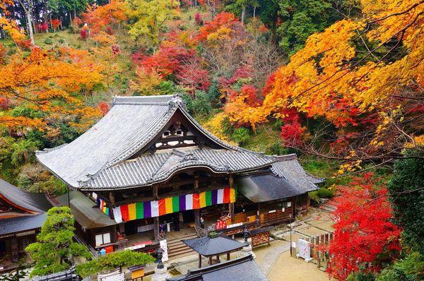 ▲▼明日香村岡寺。（圖／業者提供）